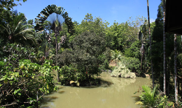 Uitzicht vanaf het Sepilok Jungle Resort
